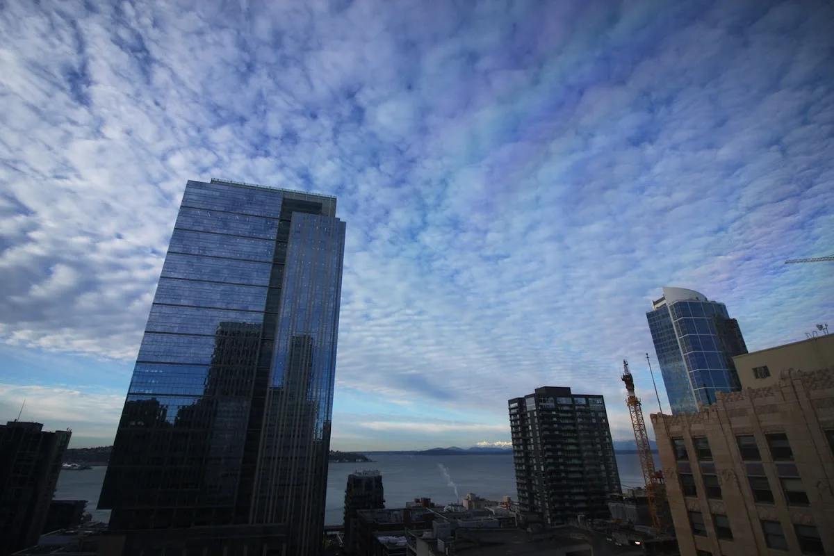 4th & Seneca Dental — photo 4