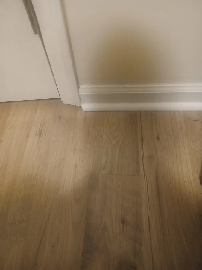 Advanced Dentistry of Charlotte - Dr Chris Bowman — photo 2