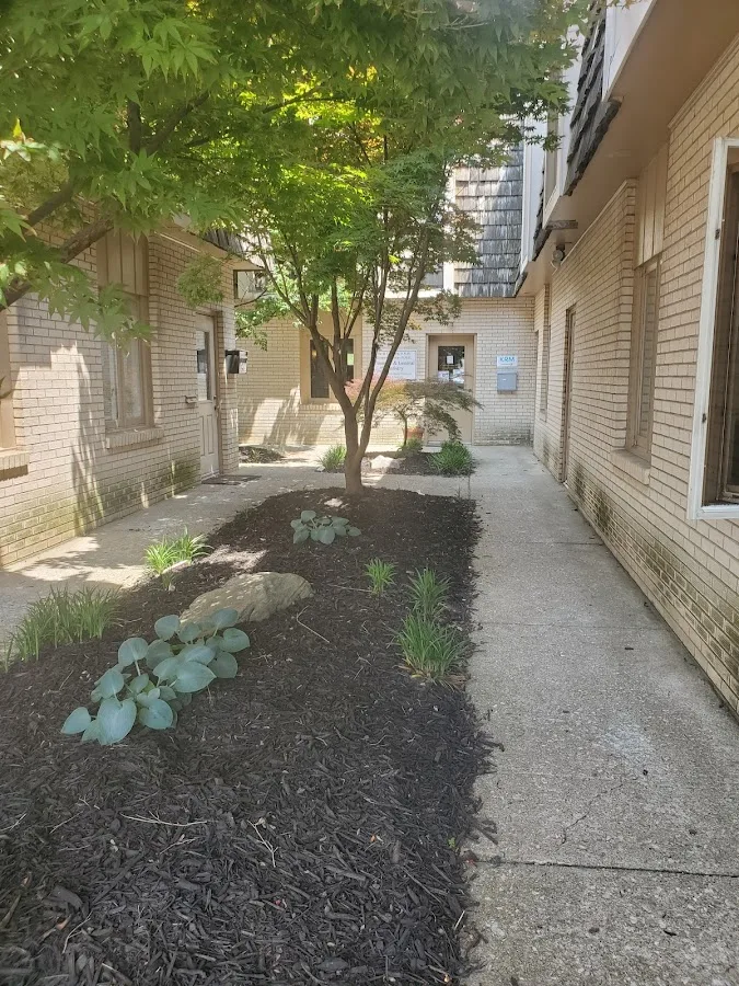 All Stahr Dental General and Cosmetic Dentistry