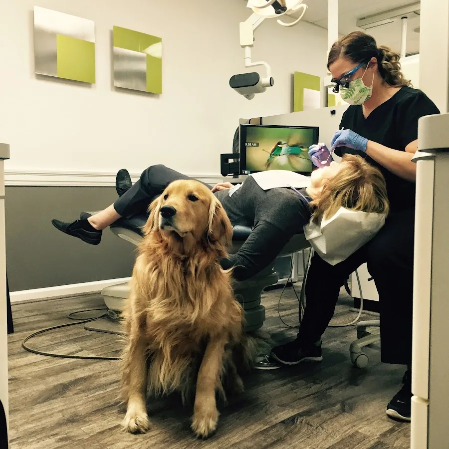 Ann Arbor's Dentist — photo 1