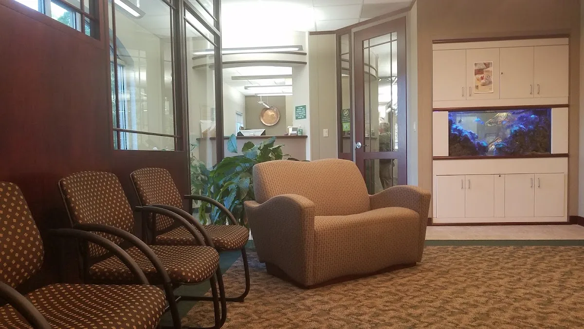 Asheville Aesthetic Dental Partners