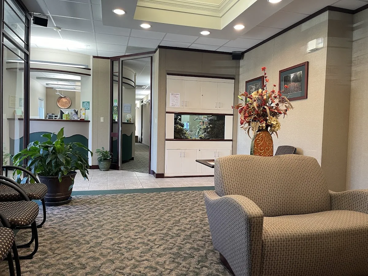 Asheville Aesthetic Dental Partners — photo 2