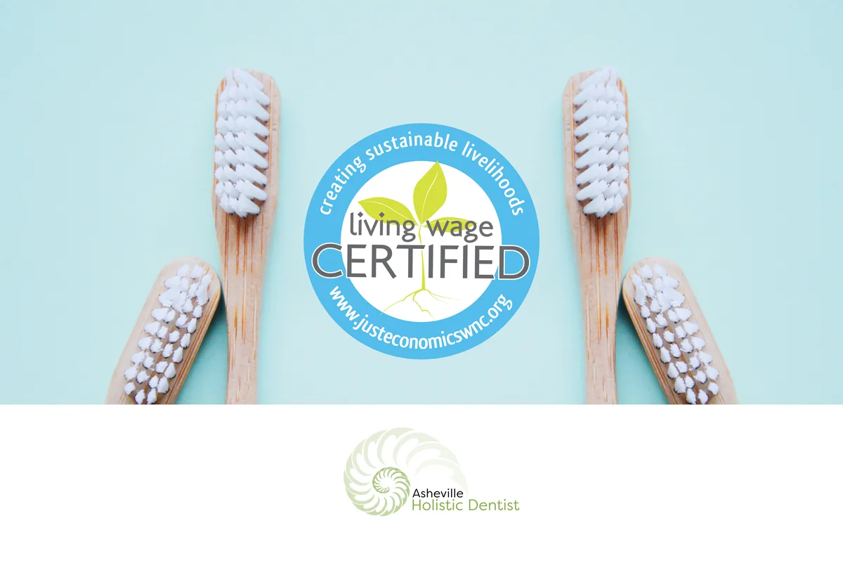 Asheville Holistic Dentist — photo 2