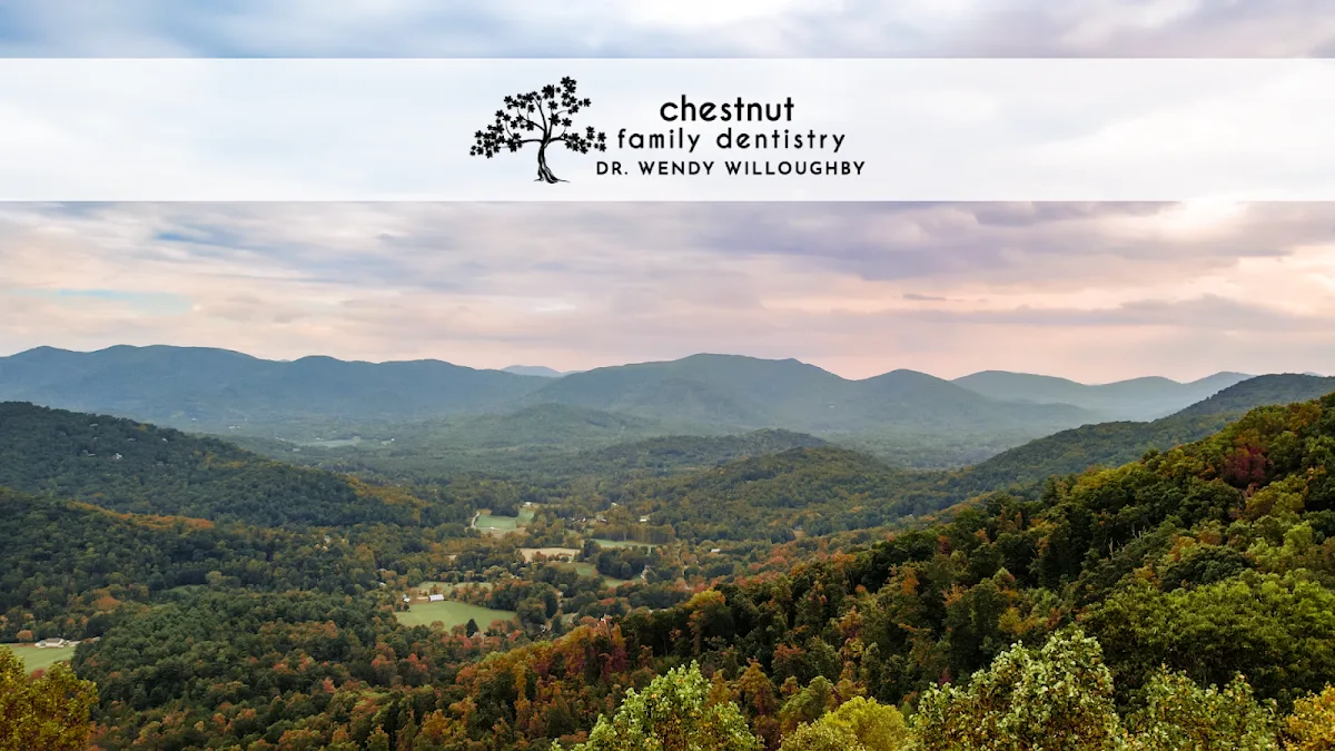 Asheville Smiles Cosmetic and Family Dentistry - Dr. Rebekkah Merrell — photo 4