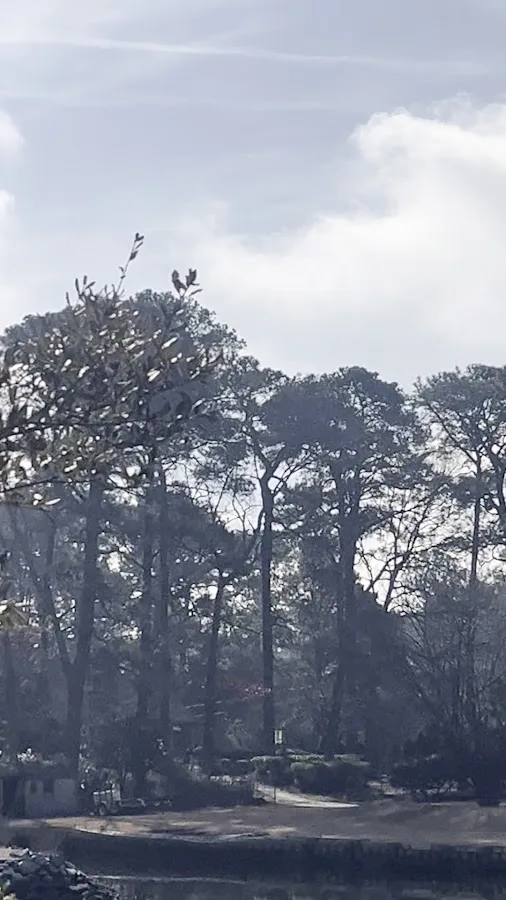 Bay Colony Dentistry — photo 2