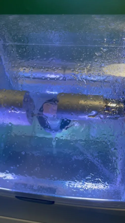 Blue Dental Largo — photo 3