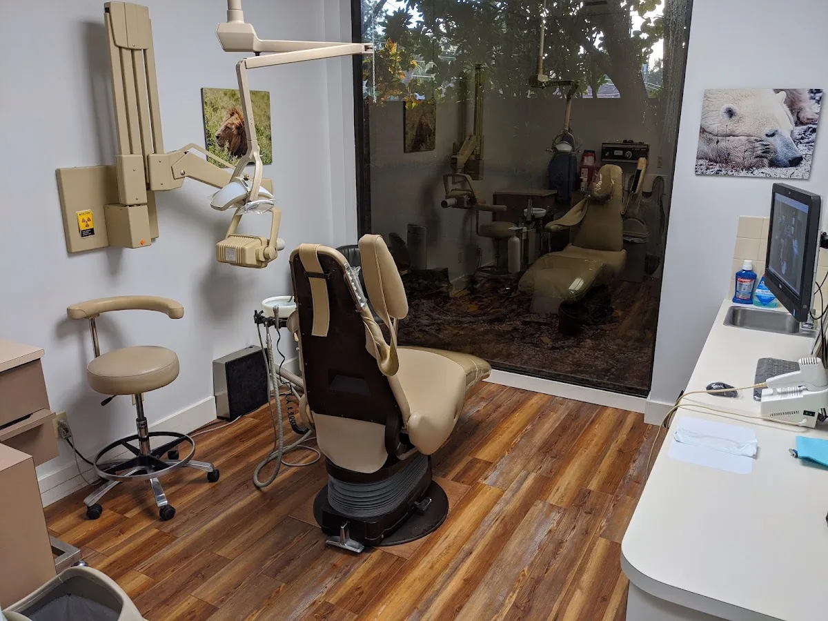 Chase Dental - St. Petersburg — photo 3