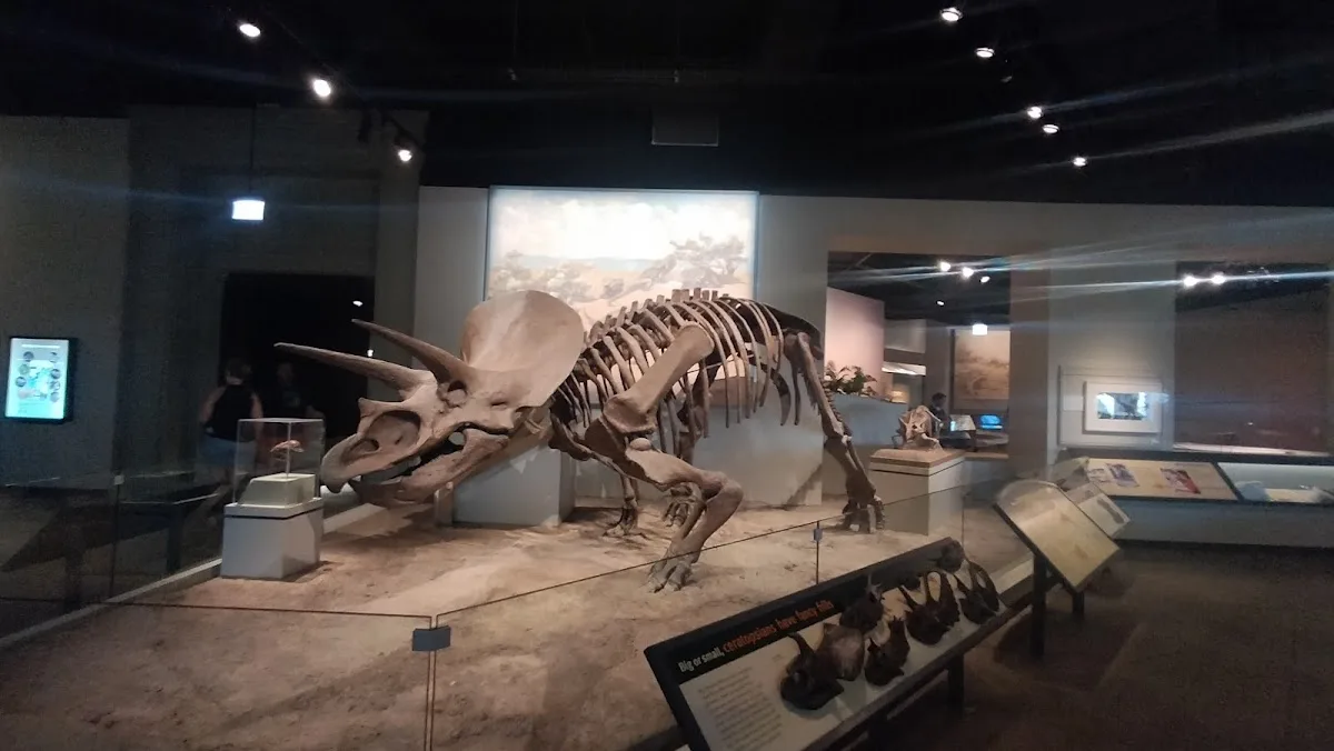 Chicago Dental Boutique — photo 5