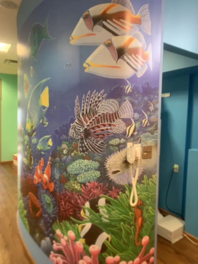 Cornerstone Dental Group — photo 3