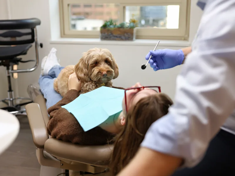 Dental Care Seattle — photo 5