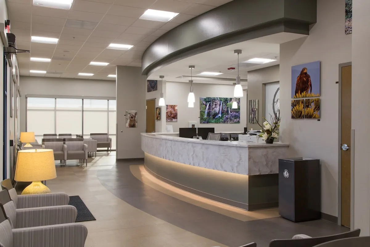 Dental Excellence — photo 2