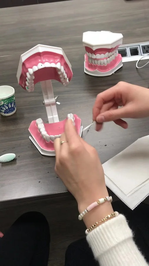 DentArt Chicago — photo 3