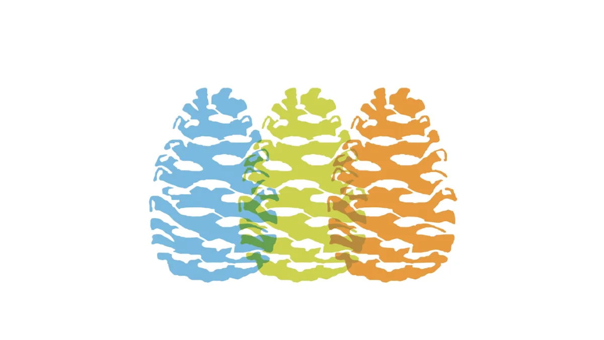 Dentistry NW — photo 1