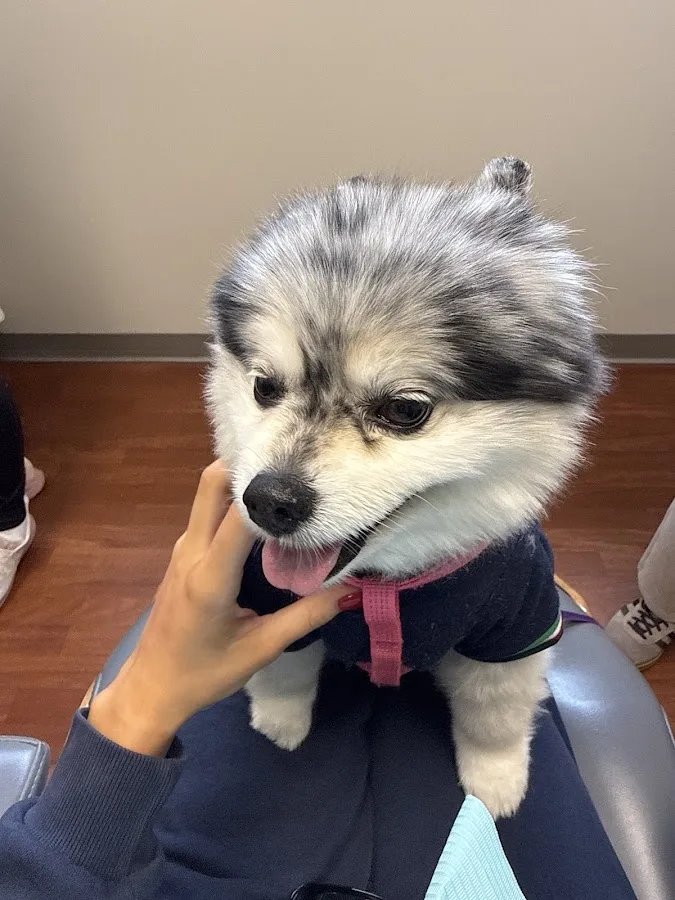 DGY Dentistry Ann Arbor — photo 2