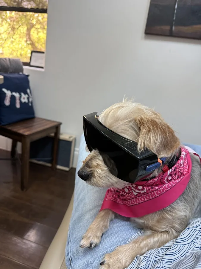 Dominion Dental Spa — photo 2