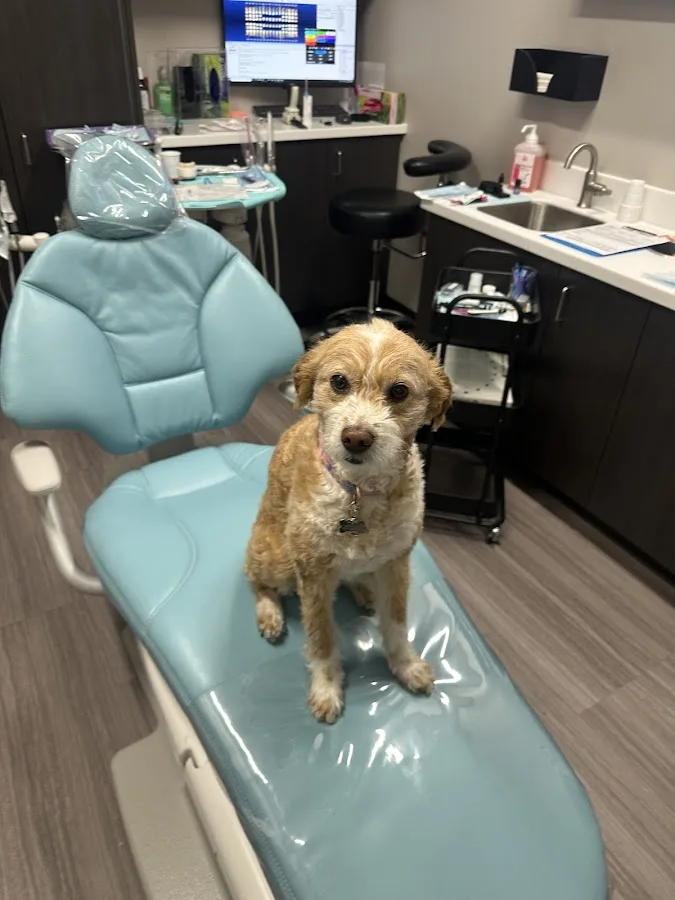 Dr. Rick Dentistry — photo 5