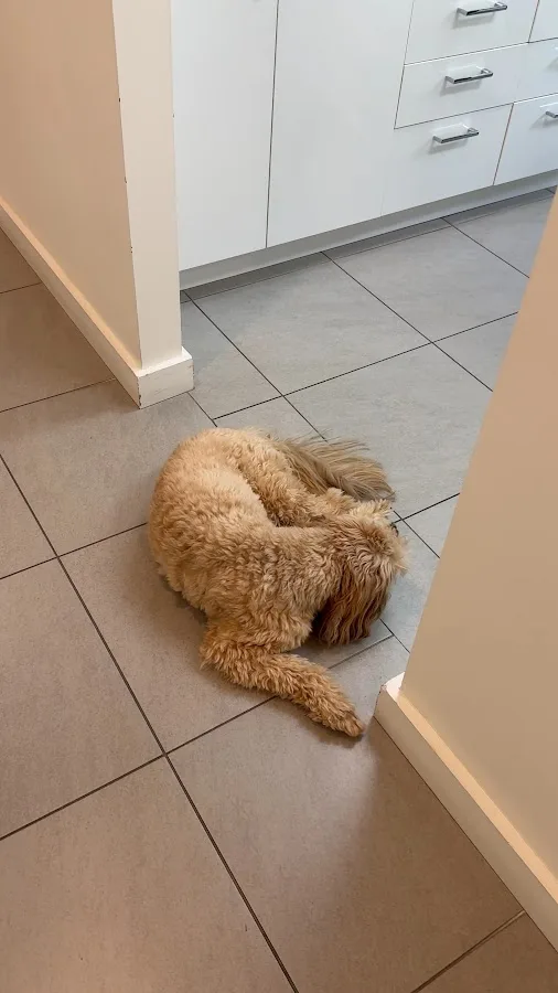 Family Cosmetic & Implant Dentistry of Brooklyn — photo 3