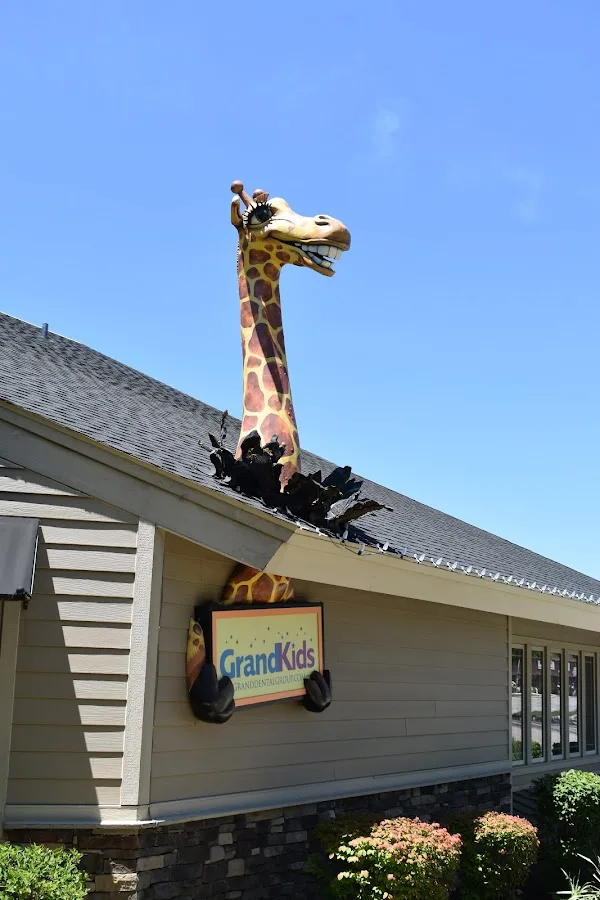 Grand Dental – Naperville — photo 4