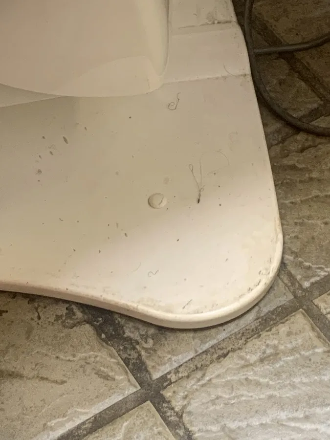 Great Expressions Dental Centers - Toledo — photo 3