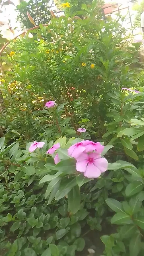 Grove Avenue Family & Cosmetic Dentistry — photo 2