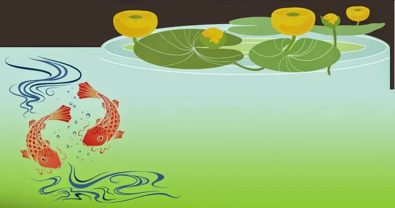 Harmony Dental — photo 1