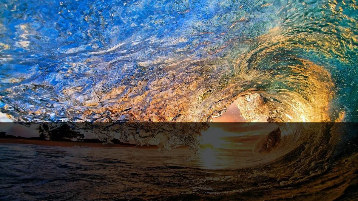 Hawaii Dental Wellness LLC - Dentist in Downtown Honolulu — photo 5