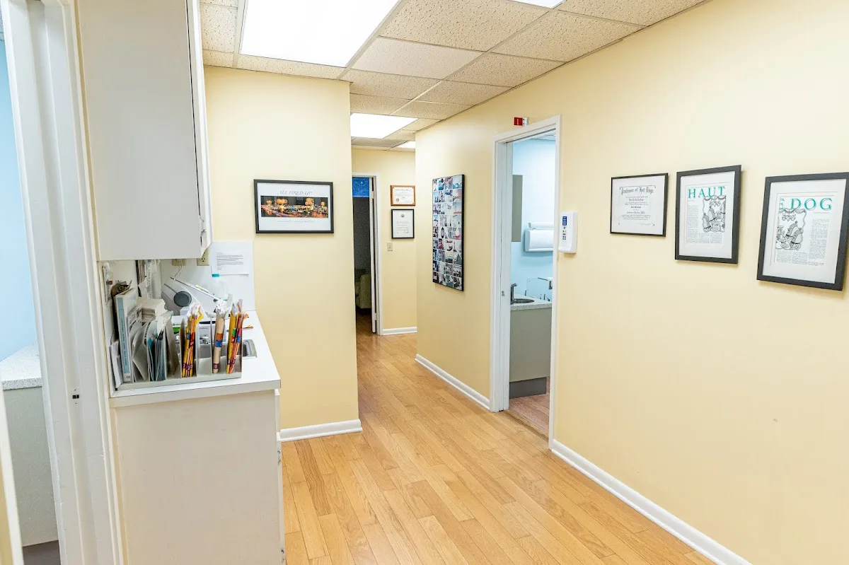 JAX Dental Studio — photo 2