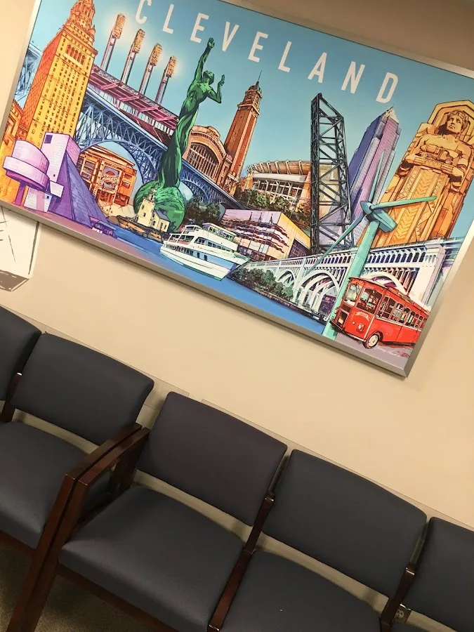 Lakewood Dental Wellness — photo 5