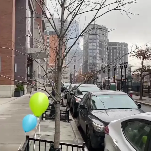 Lotus Smiles — photo 2