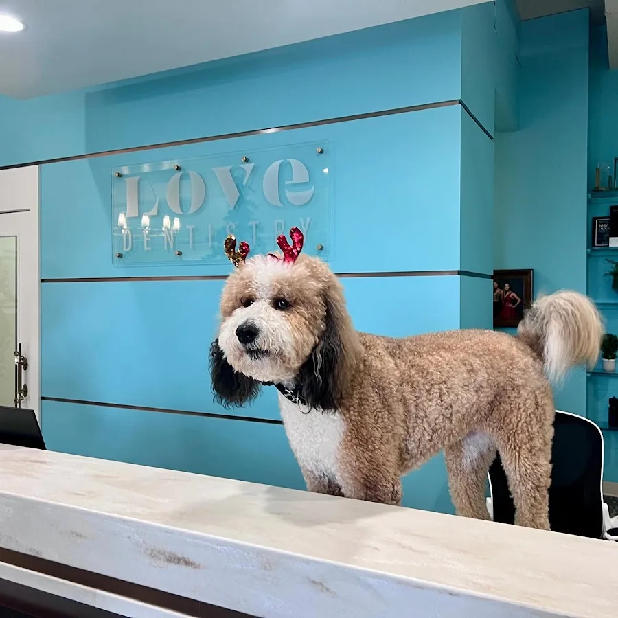 Love Dentistry - Dr. Sheri Love, DDS — photo 3