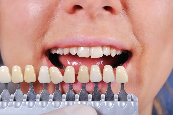 Magnolia Family Dental Care — photo 1