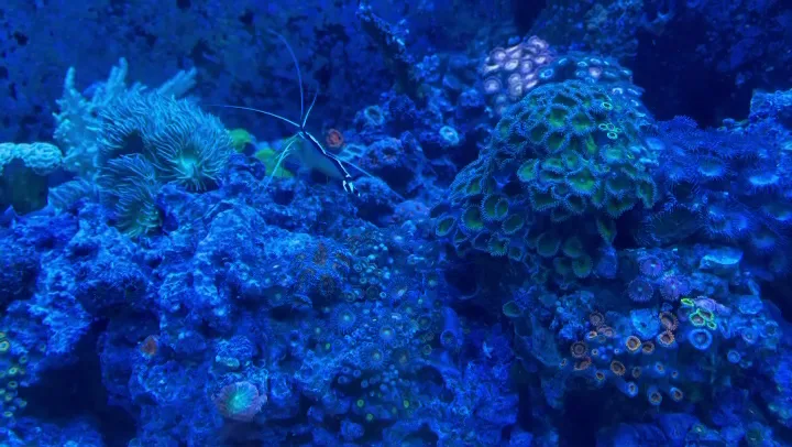 Mann Family Dental of Manchester: Russell Mann, DDS — photo 3