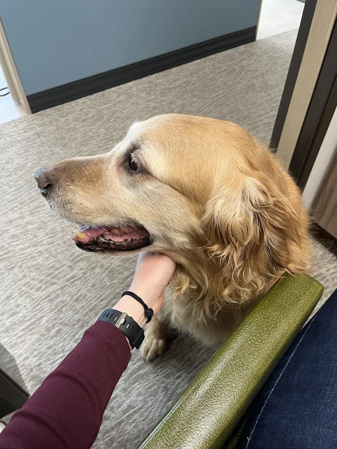 My Cherry Creek Dentist — photo 4