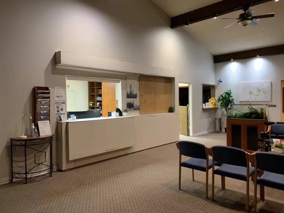 Natural Dental — photo 1