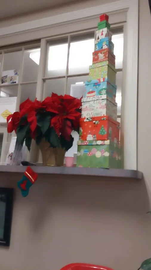 North Haven Dentists & Implant Center — photo 4