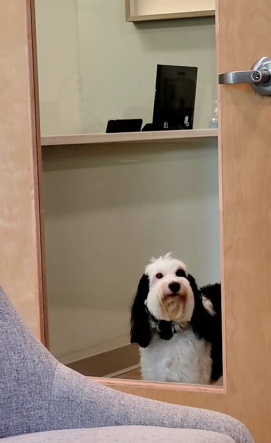 North Hills Dentistry