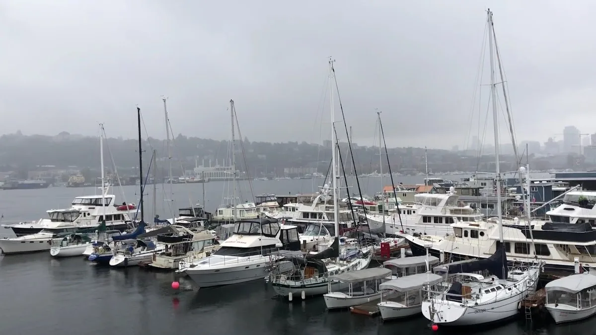 Pacific Modern Dentistry — photo 3