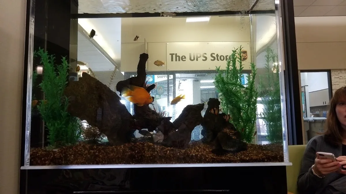 Parkway Dental Center - Minneapolis — photo 4