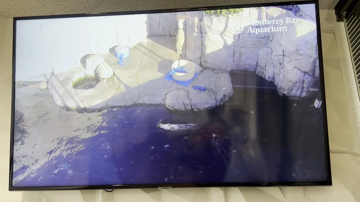 Premium Dental — photo 3