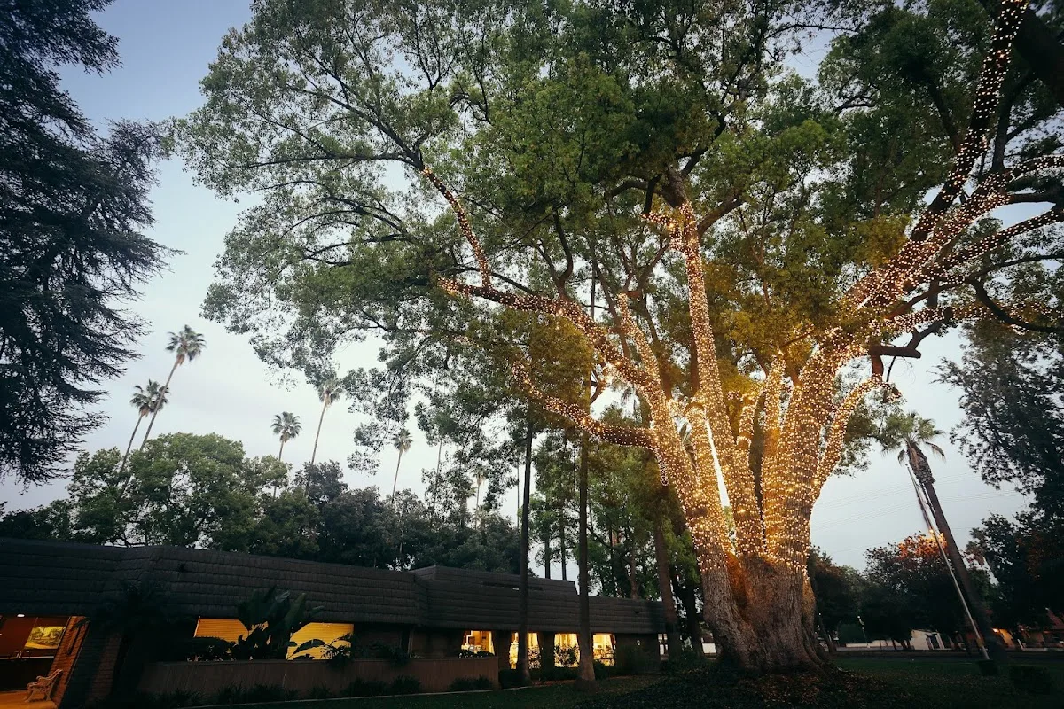 Riverside Tooth Co. — photo 4