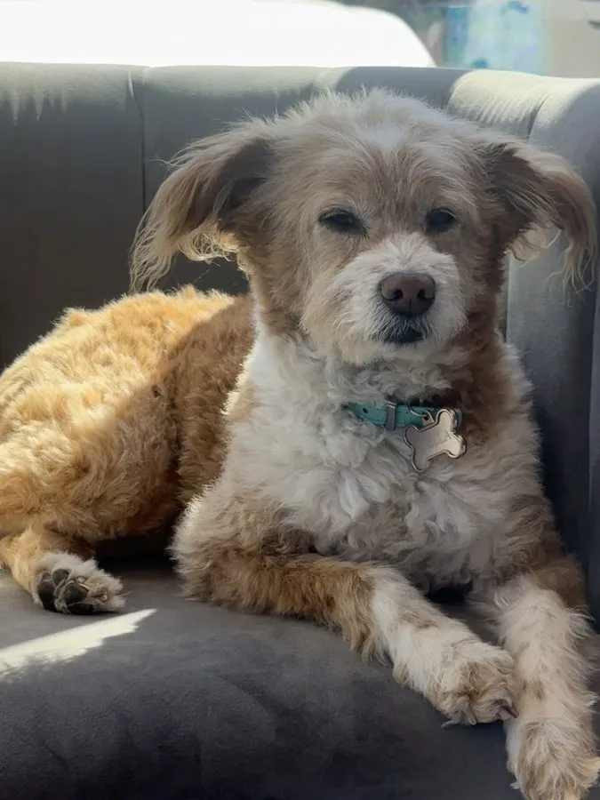 S&C Dental — photo 2