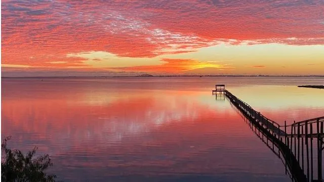 Sarah Pitarra, DDS — photo 3