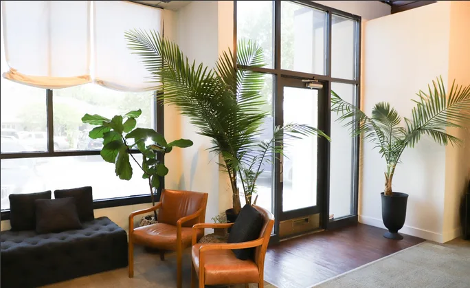 Savannah Dental — photo 3