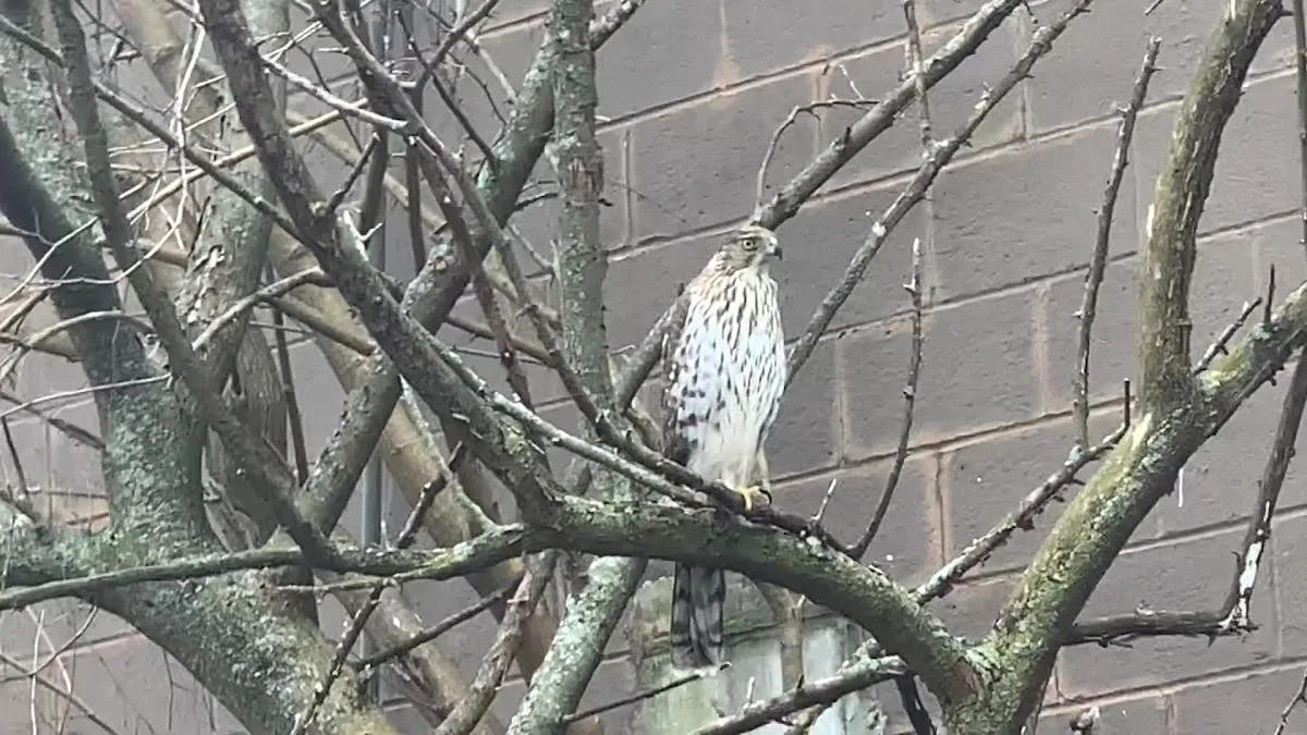 Smart Dental of Lexington — photo 3