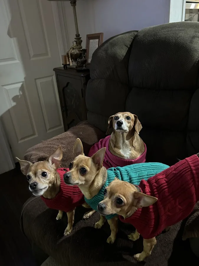 Smile Arkansas — photo 3