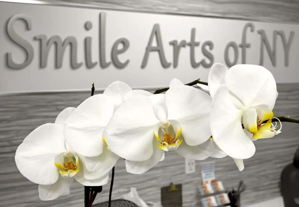 Smile Arts of NY: A Practical Visitor Guide