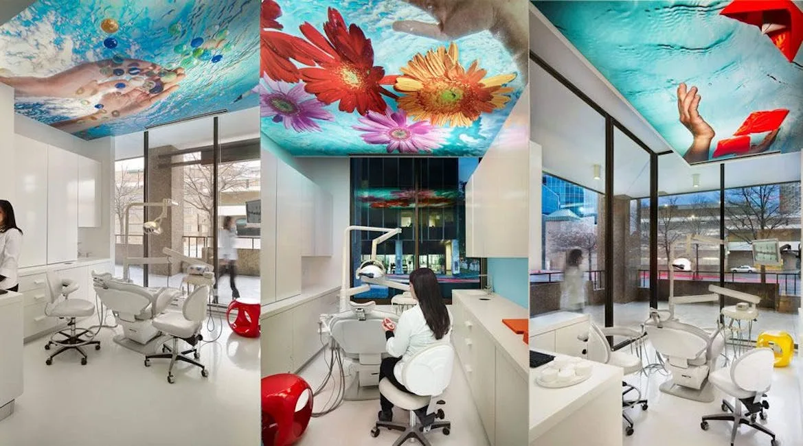 Smile Designer DDS — photo 2