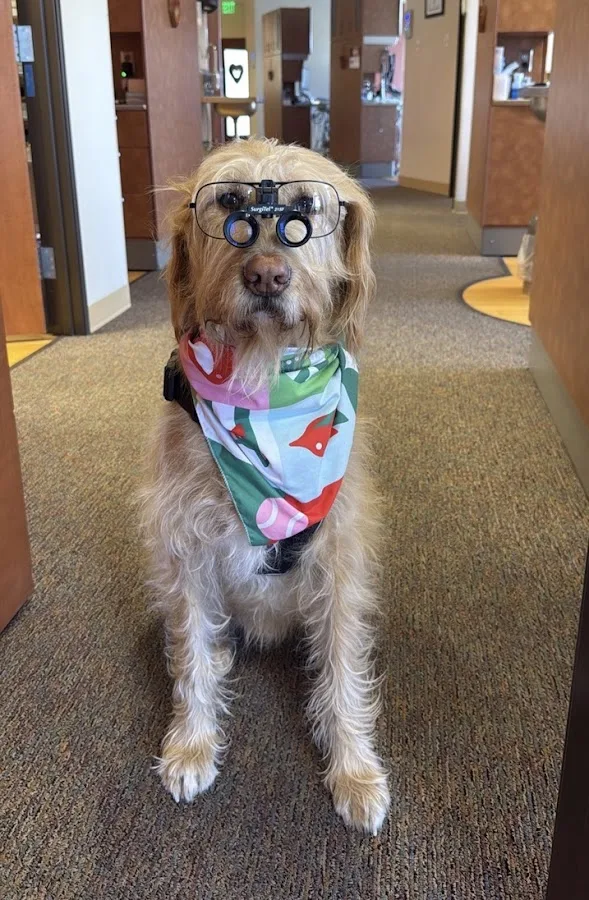 Southland Smiles — photo 2