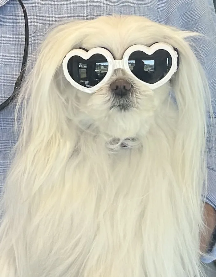 Syracuse Dentist - Smiles By Design — photo 2