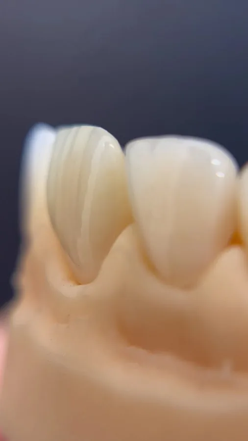 The Green Dental Studio — photo 3